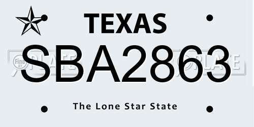 SBA2863 Texas License Plate
