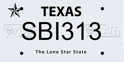 SBI313 Texas License Plate