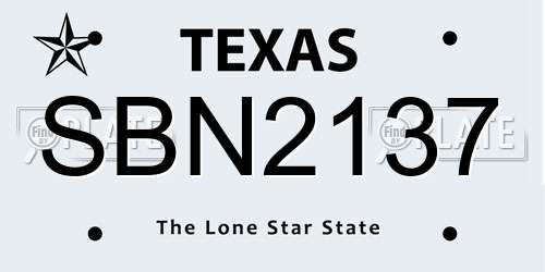 SBN2137 Texas License Plate