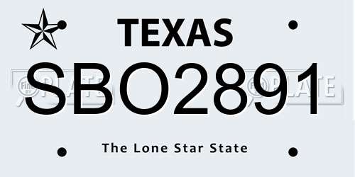 SBO2891 Texas License Plate