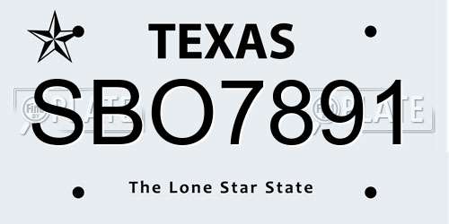 SBO7891 Texas License Plate