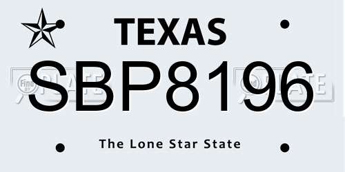 SBP8196 Texas License Plate