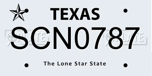 SCN0787 Texas License Plate
