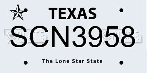 SCN3958 Texas License Plate
