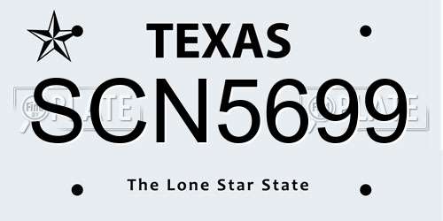 SCN5699 Texas License Plate