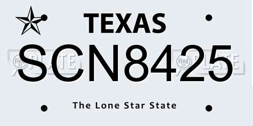 SCN8425 Texas License Plate