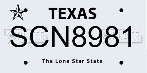 SCN8981 Texas License Plate