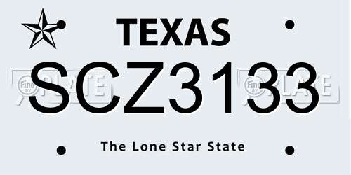 SCZ3133 Texas License Plate