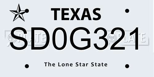 SD0G321 Texas License Plate