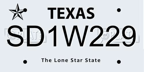 SD1W229 Texas License Plate