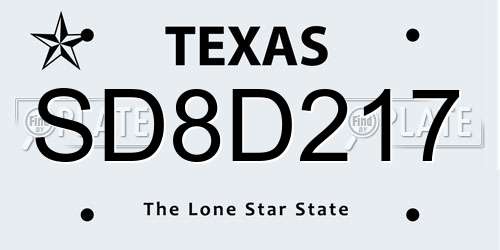 SD8D217 Texas License Plate