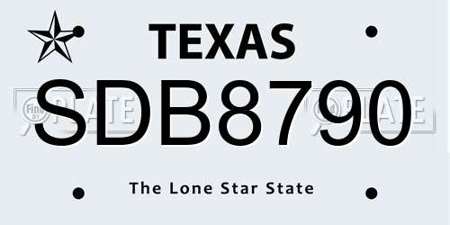 SDB8790 Texas License Plate