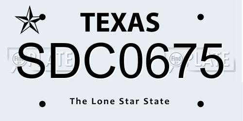 SDC0675 Texas License Plate