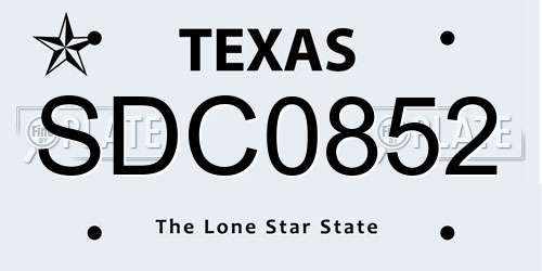 SDC0852 Texas License Plate