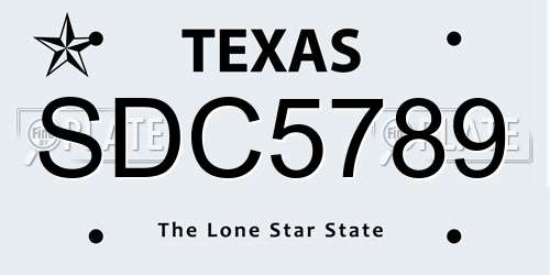 SDC5789 Texas License Plate