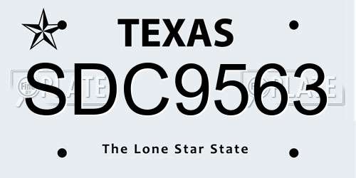 SDC9563 Texas License Plate