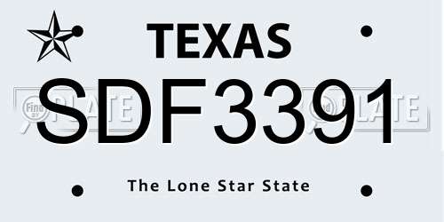 SDF3391 Texas License Plate