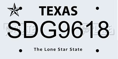 SDG9618 Texas License Plate