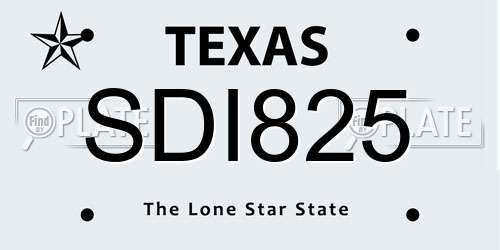 SDI825 Texas License Plate