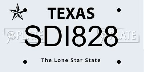 SDI828 Texas License Plate