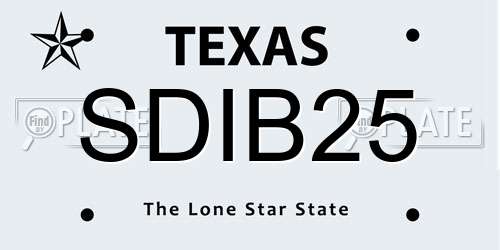 SDIB25 Texas License Plate