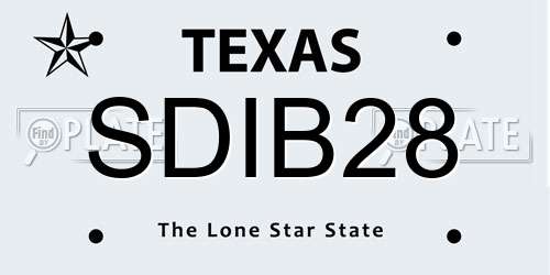 SDIB28 Texas License Plate