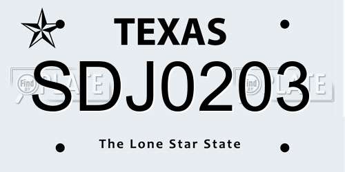 SDJ0203 Texas License Plate