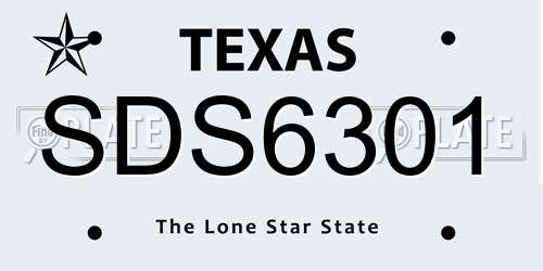 SDS6301 Texas License Plate