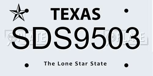 SDS9503 Texas License Plate