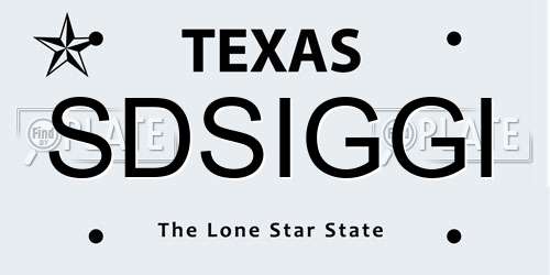 SDSIGGI Texas License Plate