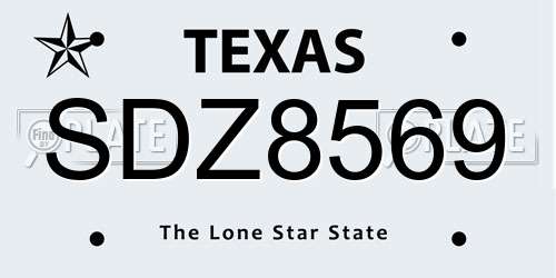 SDZ8569 Texas License Plate