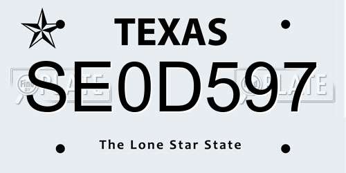 SE0D597 Texas License Plate