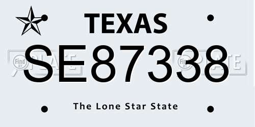 SE87338 Texas License Plate