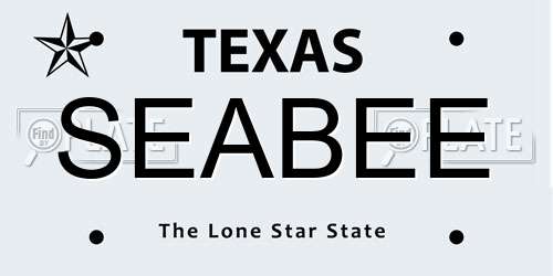 SEABEE Texas License Plate