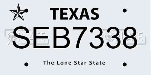 SEB7338 Texas License Plate