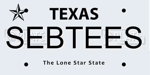 SEBTEES Texas License Plate