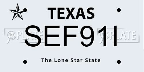 SEF91I Texas License Plate