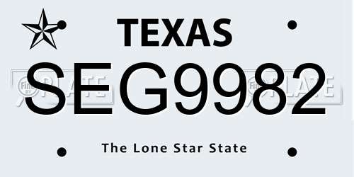 SEG9982 Texas License Plate