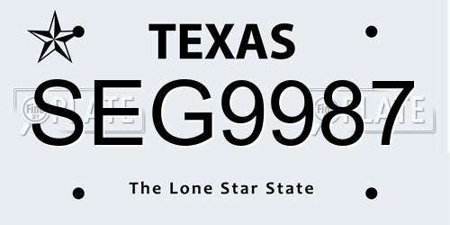 SEG9987 Texas License Plate