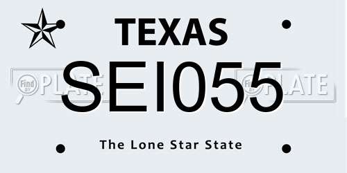 SEI055 Texas License Plate