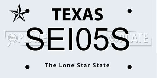 SEI05S Texas License Plate