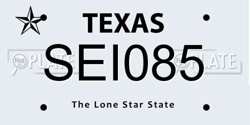 SEI085 Texas License Plate