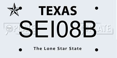 SEI08B Texas License Plate