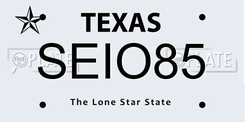 SEIO85 Texas License Plate