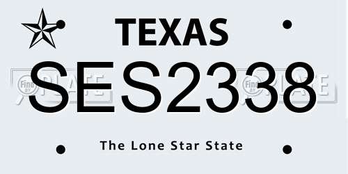 SES2338 Texas License Plate