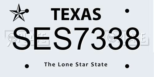 SES7338 Texas License Plate