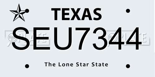 SEU7344 Texas License Plate