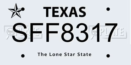SFF8317 Texas License Plate