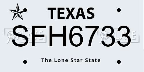 SFH6733 Texas License Plate
