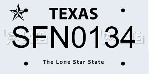 SFN0134 Texas License Plate